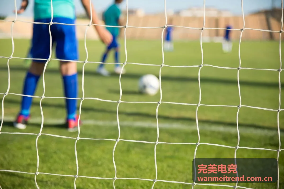 完美电竞战队阵容分析